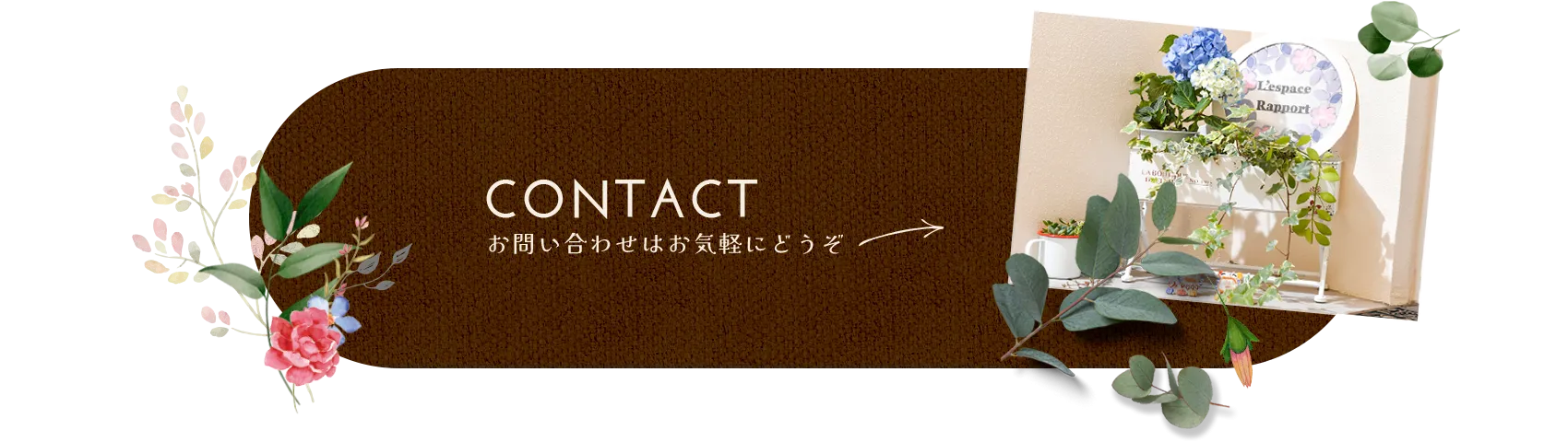 CONTACTT