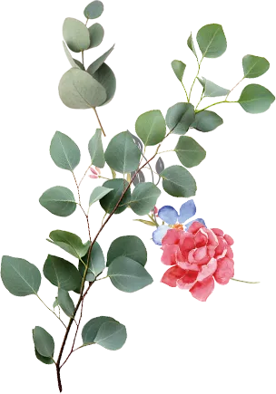 元気になって帰れるサロン　L'espace Rapport