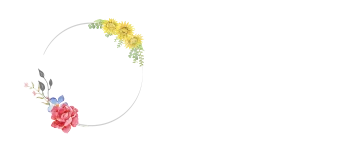 L'espace Rapport